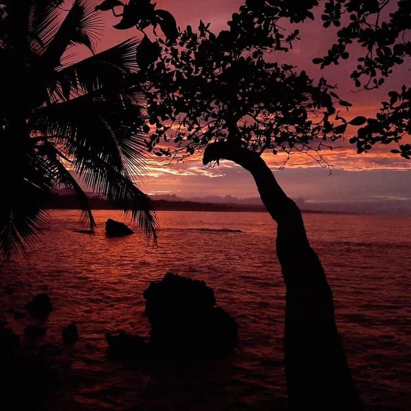 Cahuita Inn Экстерьер фото