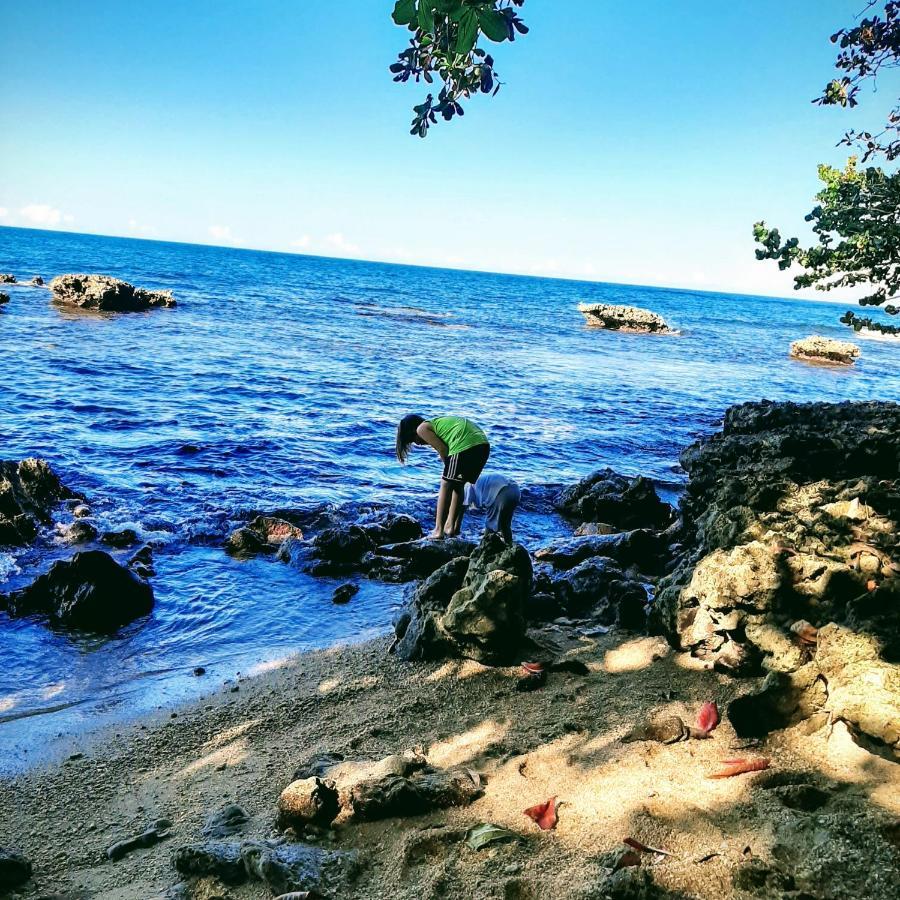 Cahuita Inn Экстерьер фото