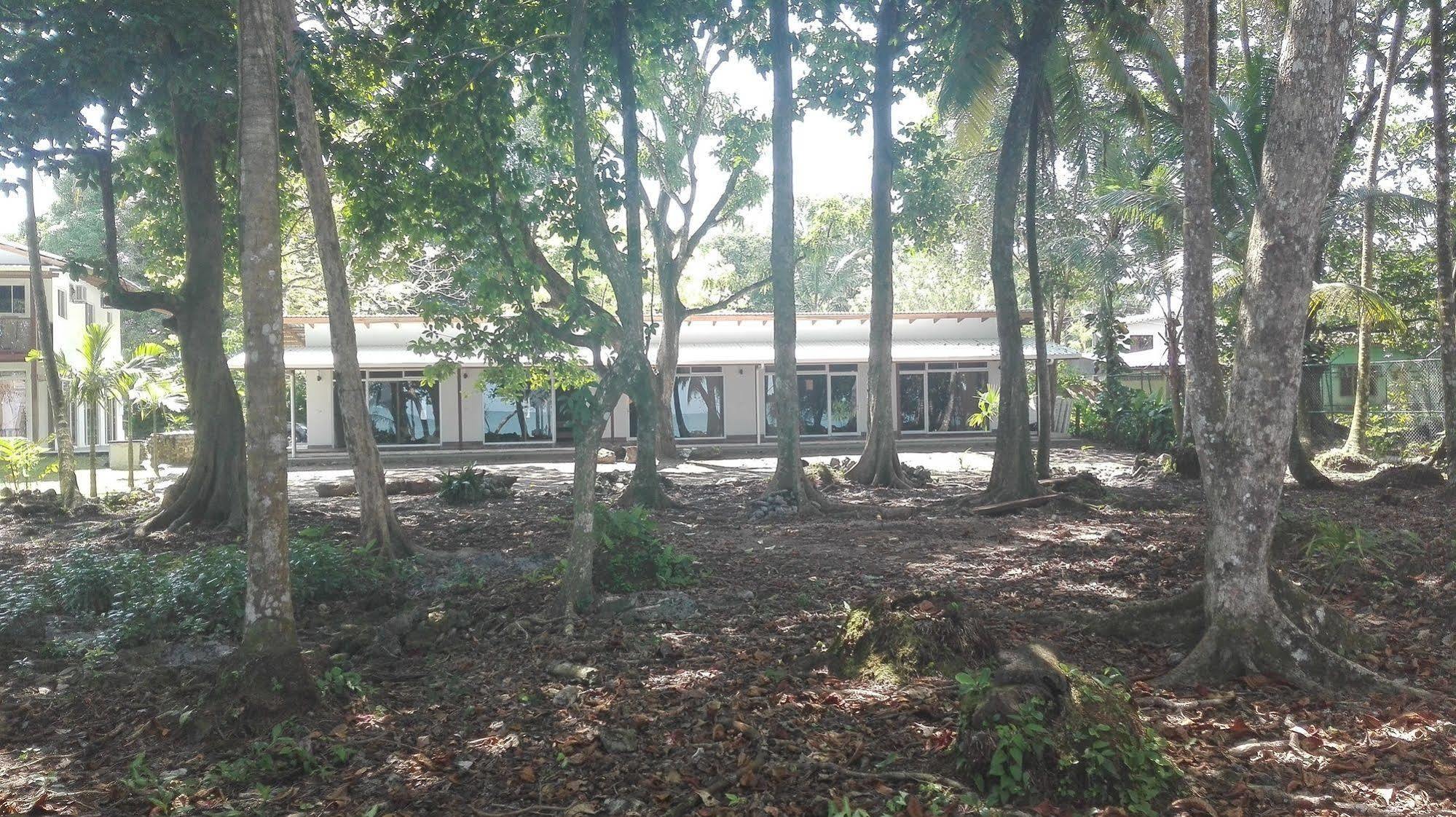 Cahuita Inn Экстерьер фото
